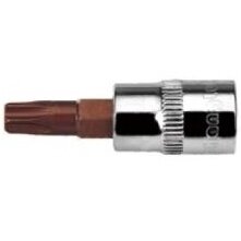 1/4" Galvutė su 37L TORX antgaliu 1/4" Galvutė su 37L TORX antgaliu