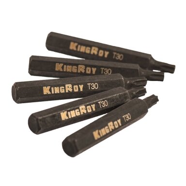 Antgalis TORX, (10mm) 5vnt Antgalis TORX, (10mm) 5vnt