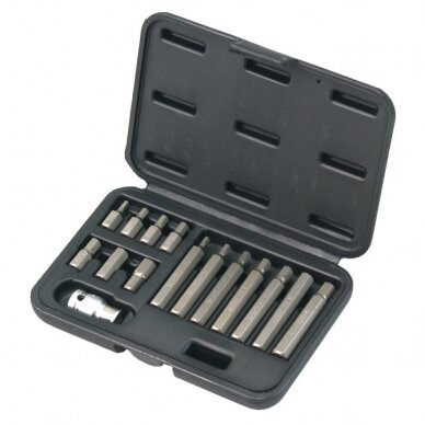 Antgalių rinkinys HEX 15vnt. Antgalių rinkinys HEX 15vnt.