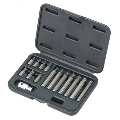 Antgalių rinkinys TORX 15vnt. Antgalių rinkinys TORX 15vnt.