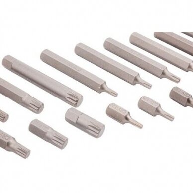 Antgalių rinkinys TORX. HEX. SPLINE 40vnt. 1 Antgalių rinkinys TORX. HEX. SPLINE 40vnt. 1