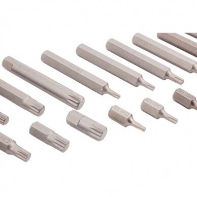 Antgalių rinkinys TORX. HEX. SPLINE 40vnt. (S1) 3