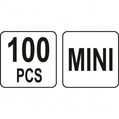 Automobilių saugiklių rinkinys 100vnt MINI-žemo profilio 2 Automobilių saugiklių rinkinys 100vnt MINI-žemo profilio 2
