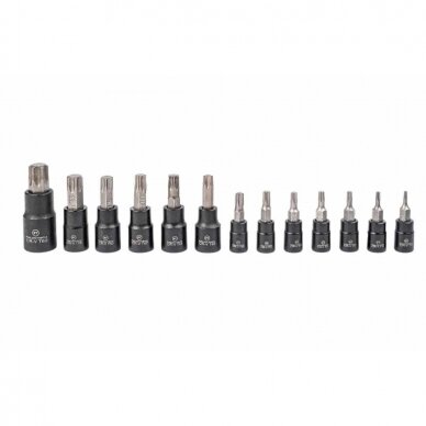 Galvučių rinkinys e-torx 1/4" 3/8" 1/2" 25vnt. 3 Galvučių rinkinys e-torx 1/4" 3/8" 1/2" 25vnt. 3