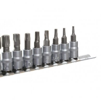 Galvučių su antgaliu rinkinys 1/4" (torx)(9vnt) 4