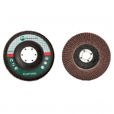 Metalo šlifavimo lapelinis diskas 125mm Nr.80/29 Metalo šlifavimo lapelinis diskas 125mm Nr.80/29