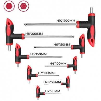 T-tipo šešiakampių raktų rinkinys TORX ir HEX (apvalia galvute) 16vnt. 2
